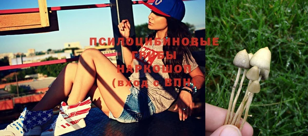 прущие грибы Орск