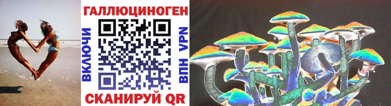 omg tor  Кисловодск  Псилоцибиновые грибы мицелий 